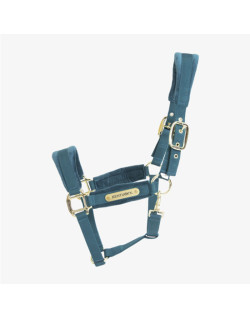 Licol Velvet Kentucky emeraude 1