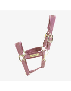 Licol Velvet Kentucky rose pale 1