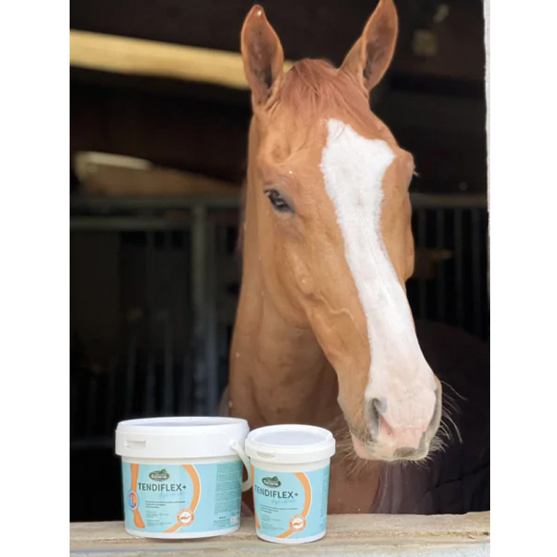 Argile Tendiflex + (nouvelle formule) Ravene cheval Argile Tendiflex + (nouvelle formule) Ravene cheval