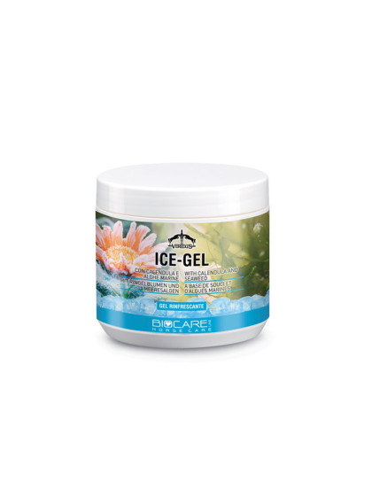 Baume Ice-Gel Veredus