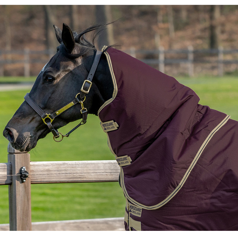 Horseware couverture 250g avec cou Amigo Bravo 12 Plus Medium