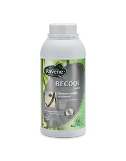 Solution tranquilisante Becool Ravene