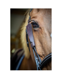 Oeillères Blinkers Pénélope havane 1