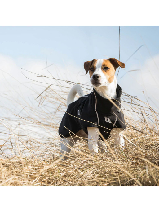 Manteau chien bark Back On Track noir ambiance 2