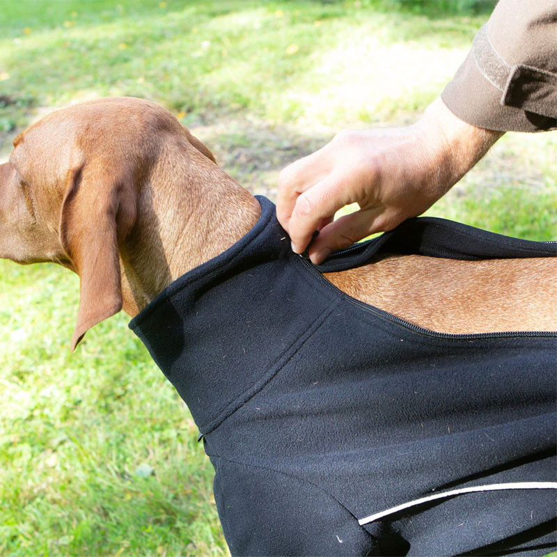 Pull chien Cassie Back On Track détail