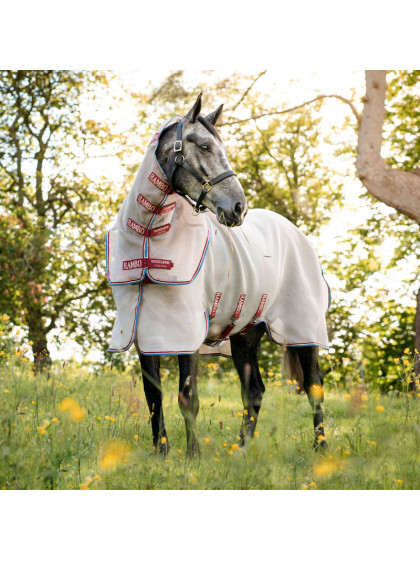 Couverture anti-mouches Rambo Protector Horseware portée 1