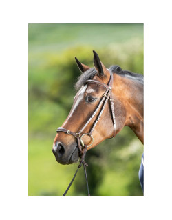 Bridon German HFI 1