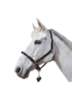 Licol corde Canter noir