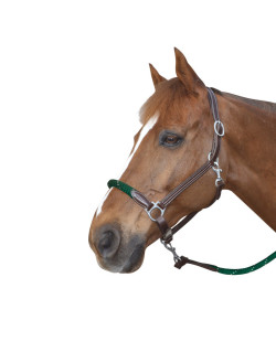 Licol corde Canter marron/vert