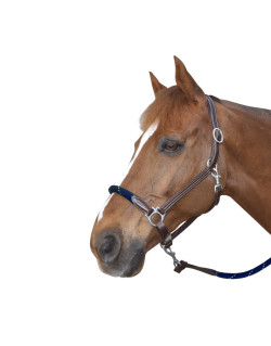 Licol corde Canter marron/marine