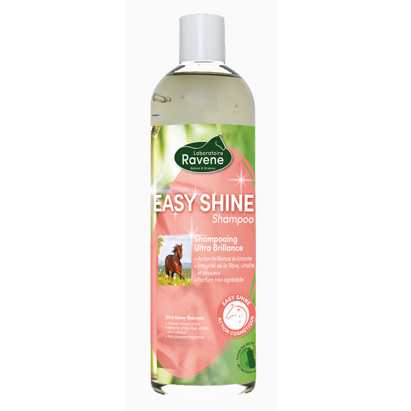 Easy Shine Shampoo 500ml Ravene