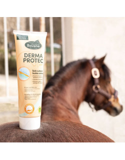 Nouvelle formule Dermaprotec 250ml Ravene