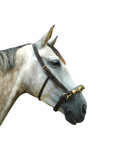 Caveçon Canter marron