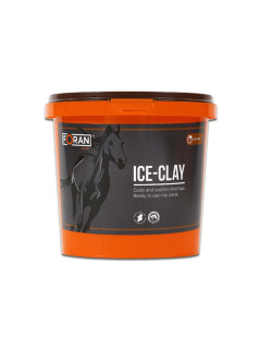 Argile Ice Clay 4kg Foran