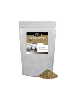 Solution pour articulations Hargophytum Pur 1kg Horse Master