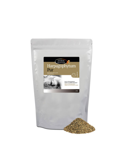 Solution pour articulations Hargophytum Pur 1kg Horse Master