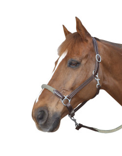 Licol corde Canter beige marron