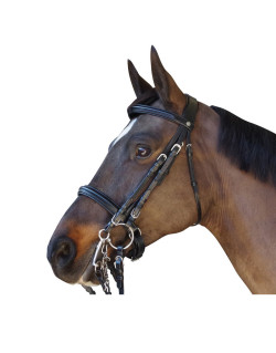Bride dressage pull back euro Canter