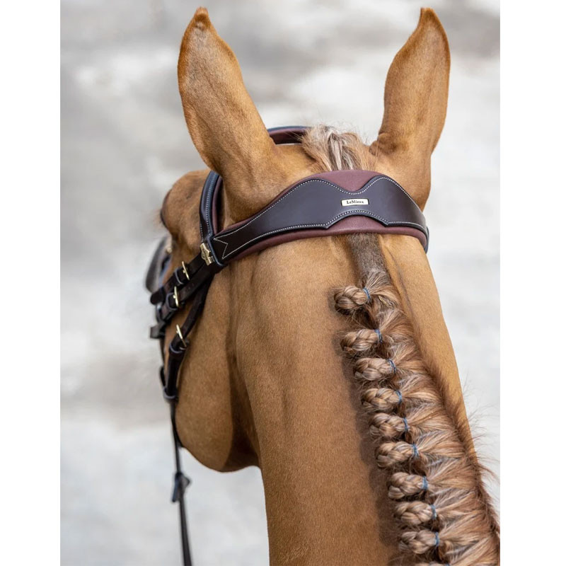 Bridons équitation quiscale LeMieux Hobby Horse - Bridons/brides - Cuirs &  Enrênements - Cheval au travail