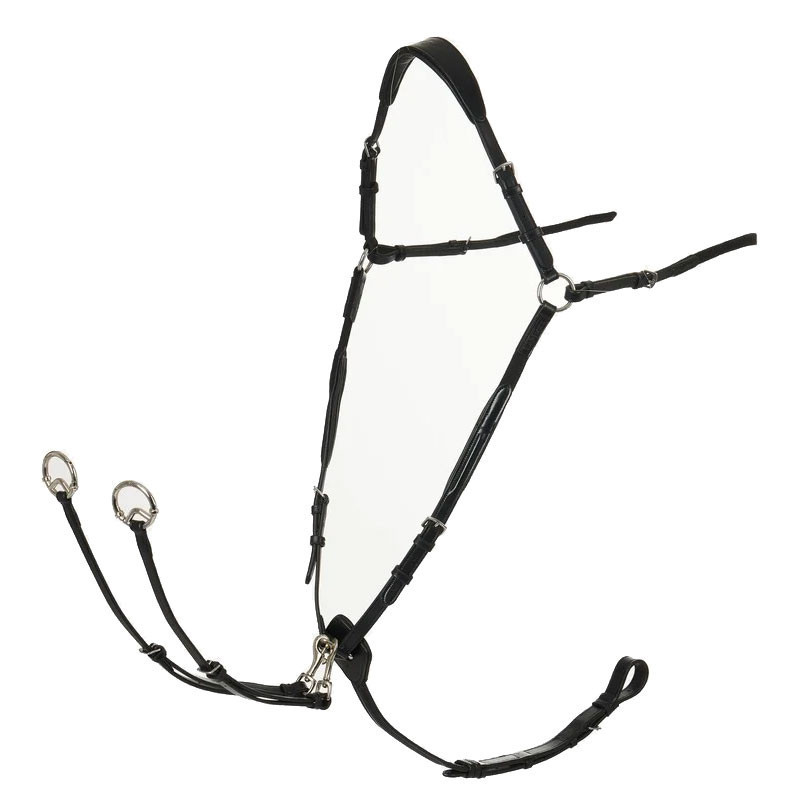 Martingale à anneaux avec collier de chasse LeMieux