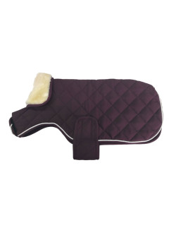 Couverture pour chien Rocket Winter 22 Harcour