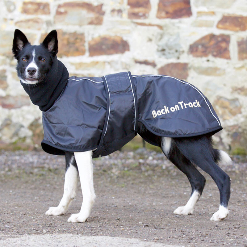 Manteau Whippet pour chien Back On Track