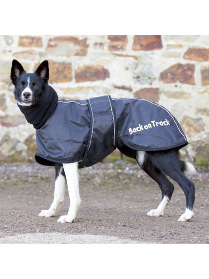Manteau Whippet pour chien Back On Track