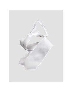 Cravate New Quick homme Equiline