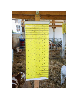 Rouleau attrape-mouches JumboXL Kerbl