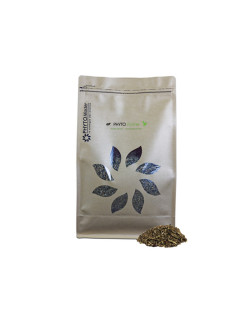 Complément alimentaire Phyto Forme Phyto Master