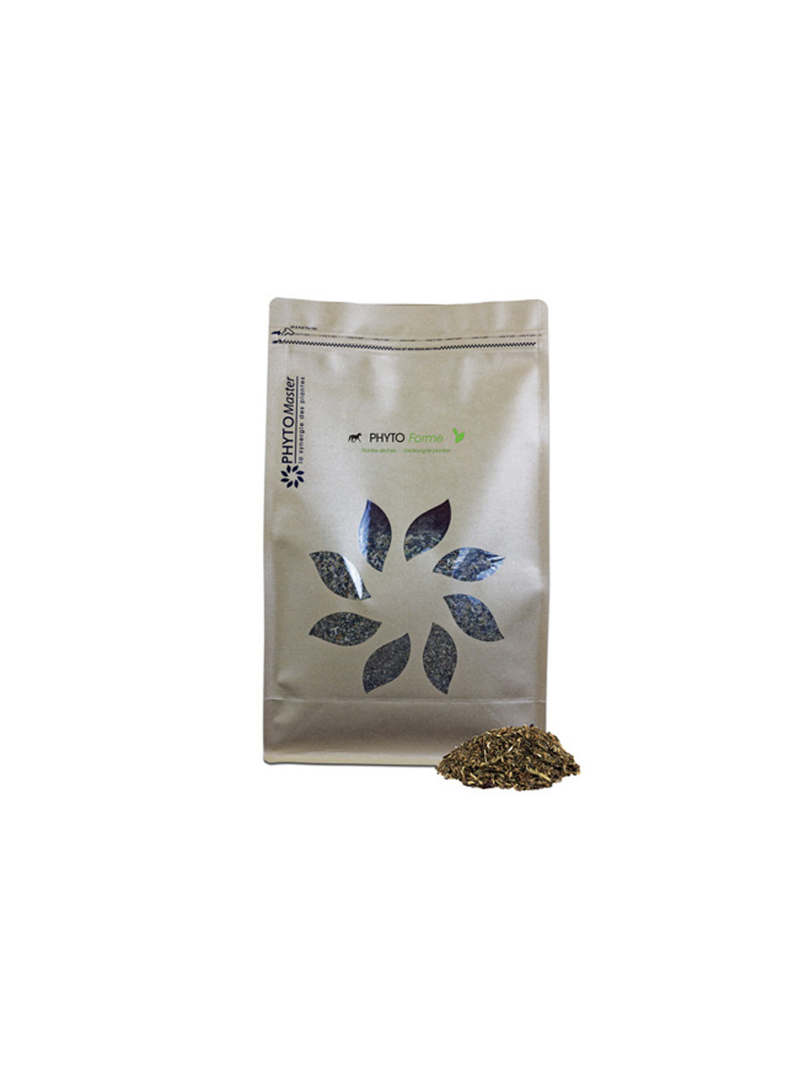 Phytomaster Mare Heat Supplement Phyto Mare 1 Kg