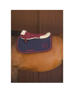 Amortisseur Urano rider Harcour