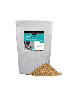 Solution digestive Equiflora 500g Horse Master