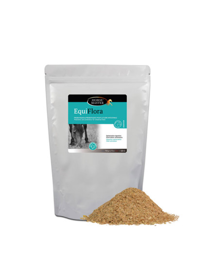 Solution digestive Equiflora 500g Horse Master