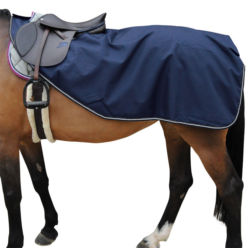 Corps De Cheval Barbare Centaure Avec Double Contrôle | Photo Premium