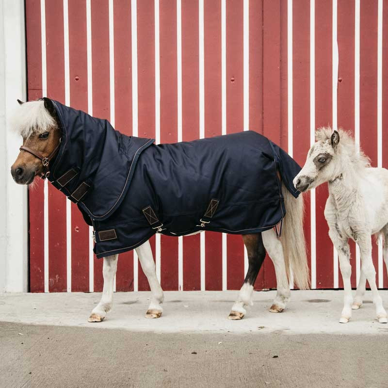 Couverture D'extérieur Pour Cheval Pony Horze Glasgow 200g