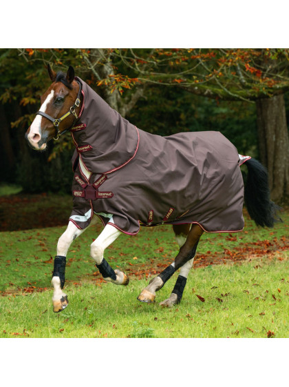 Couverture Amigo Bravo 12 Plus Horseware
