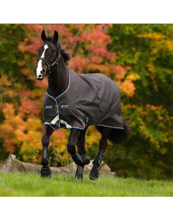 Couverture Amigo Bravo 12 Original 400g Horseware
