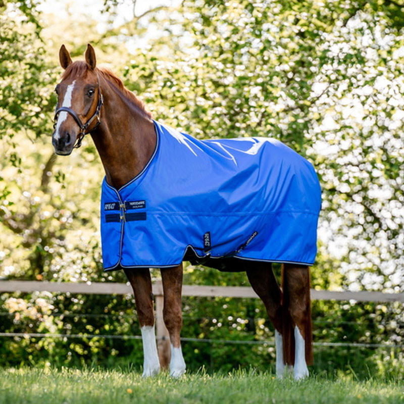 Couverture Amigo Hero 50g Horseware Cheval