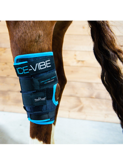 Protèges jarrets massants Ice-Vibe Horseware