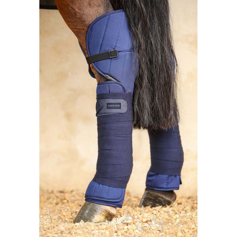Protège-boulets équitation Zandona Carbon Air Active Fit