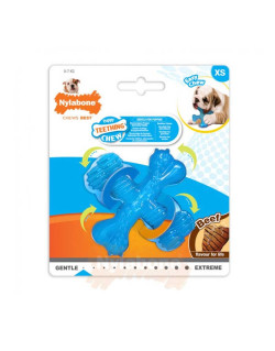 Jouet chiot X Bone Nylabone