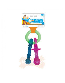 Tétine pour chiot Pacifier Chew Nylabone