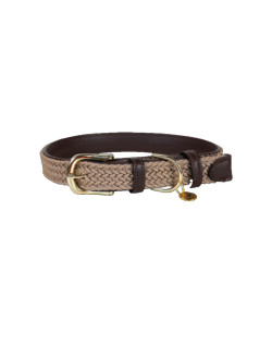 Collier nylon tressé chien Kentucky