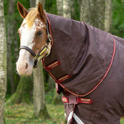 Couvre-cou cheval Amigo® Bravo 12 150g Horseware