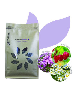 Complément alimentaire Phyto Jument 1kg Phyto Master