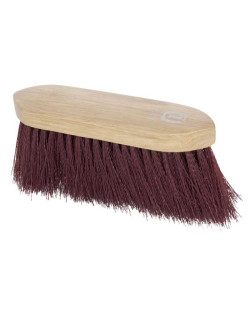 Brosse à poils durs Dandy...