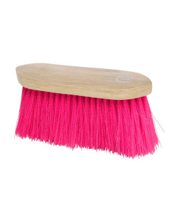 Brosse à poils durs Dandy...