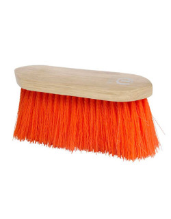 Brosse à poils durs Dandy...