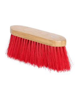 Brosse à poils durs Dandy...